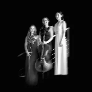 MEISINGER MUSIC FESTIVAL